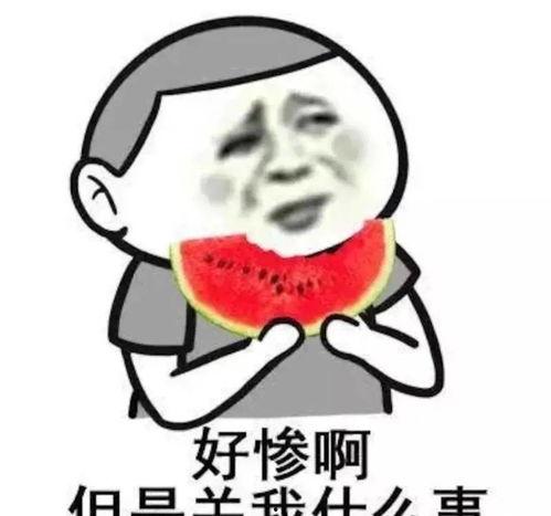 娛樂(lè)吃瓜君五條喵,揭秘娛樂(lè)圈五大熱門(mén)事件背后的真相