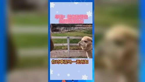 2022年娛樂(lè)吃瓜群眾,吃瓜群眾年度盤(pán)點(diǎn)