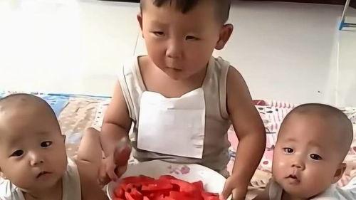 娛樂(lè)吃瓜醬哥哥和弟弟在線觀看,哥哥弟弟在線觀看，歡樂(lè)時(shí)光共享