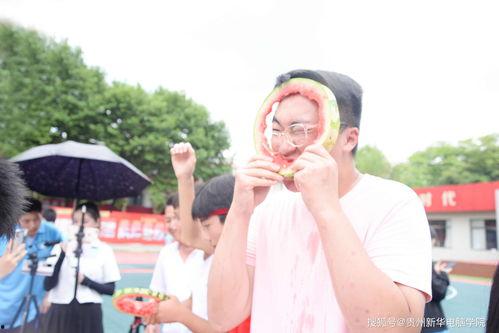 吃瓜娛樂(lè)學(xué)校,揭秘娛樂(lè)圈背后的秘密與趣味