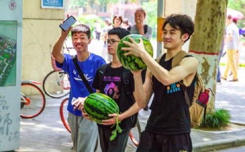 吃瓜娛樂(lè)學(xué)校,揭秘娛樂(lè)圈背后的秘密與趣味