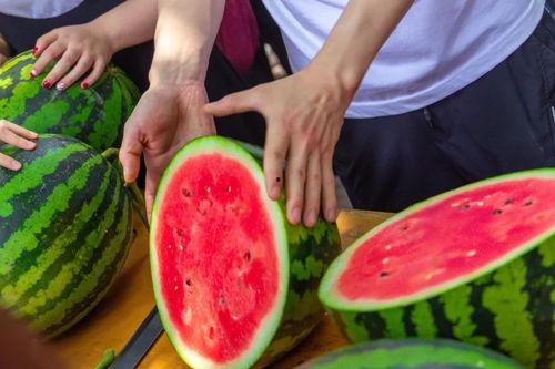 吃瓜娛樂(lè)學(xué)校,揭秘娛樂(lè)圈背后的秘密與趣味