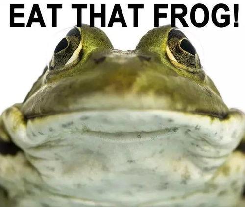 娛樂圈吃瓜醬青蛙,揭秘明星背后的故事