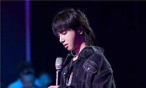 吃瓜娛樂華晨宇是誰,吃瓜娛樂界的音樂奇才