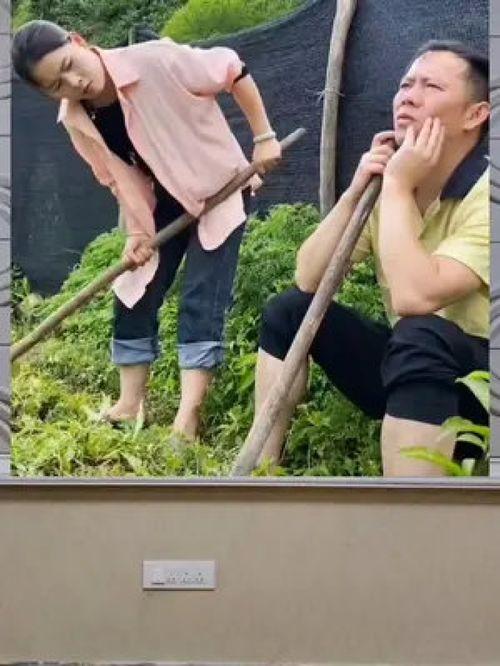 娛樂八卦一定是吃瓜群眾的嗎,揭秘吃瓜群眾的狂歡盛宴