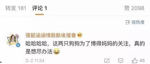 娛樂(lè)圈吃瓜食品,揭秘明星們的“吃瓜”生活