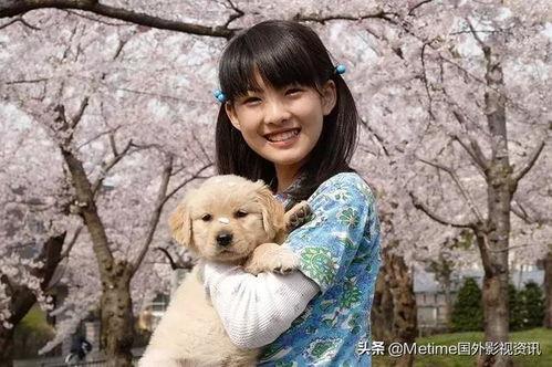 娛樂吃瓜醬女生養(yǎng)的狗,揭秘娛樂吃瓜醬女生的心頭愛寵