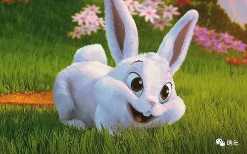 娛樂吃瓜小兔子視頻下載,揭秘娛樂圈幕后故事