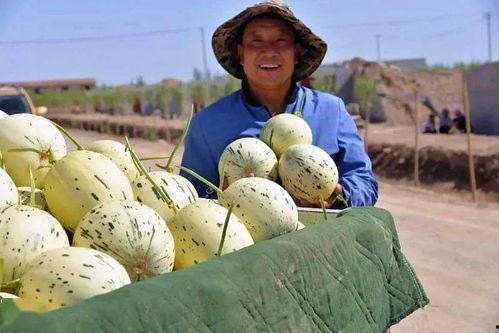 娛樂吃瓜州,揭秘娛樂圈背后的故事與八卦