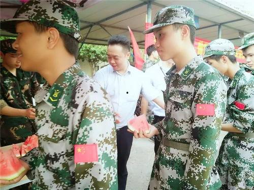 娛樂吃瓜軍,吃瓜軍背后的故事與真相