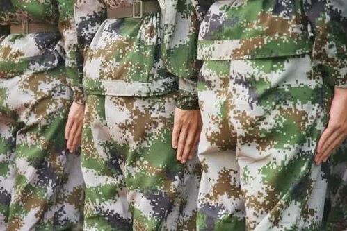 娛樂吃瓜軍,吃瓜軍背后的故事與真相