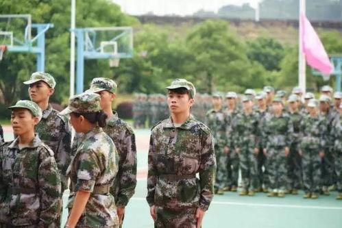 娛樂吃瓜軍,吃瓜軍背后的故事與真相