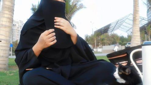 娛樂吃瓜君御姐免費(fèi)閱讀,揭秘娛樂圈背后的故事