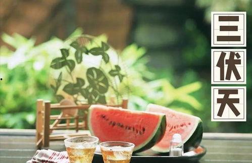 娛樂吃瓜健康養(yǎng)生小說,娛樂、吃瓜與身心健康的小說之旅