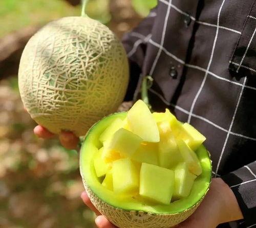 娛樂圈吃瓜有什么好處,揭秘娛樂八卦背后的樂趣與益處