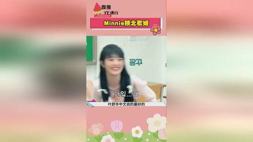 娛樂吃瓜錄,吃瓜錄背后的精彩故事