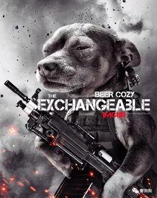 娛樂(lè)吃瓜汪星人是誰(shuí),網(wǎng)絡(luò)紅星的崛起之路