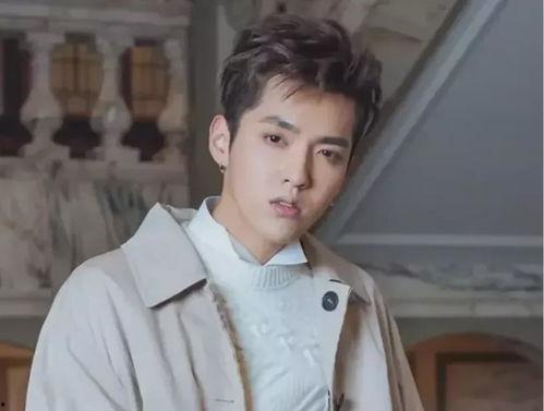 娛樂圈吃瓜吳亦凡,揭秘吃瓜背后的真相與影響