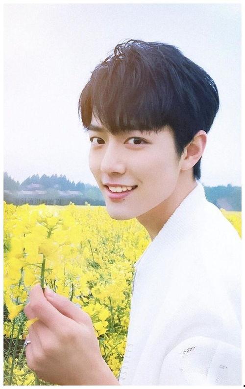 娛樂圈吃瓜明星代號肖戰(zhàn),娛樂圈神秘吃瓜明星的崛起之路