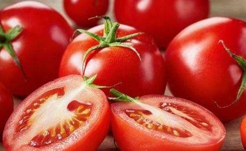 娛樂(lè)吃瓜醬西紅柿,西紅柿的瓜界傳奇