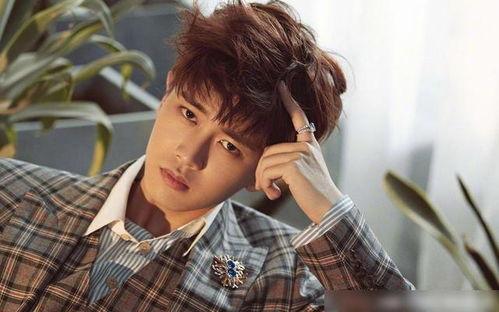 娛樂吃瓜蜀黍任嘉倫視頻,娛樂圈幕后故事大揭秘！