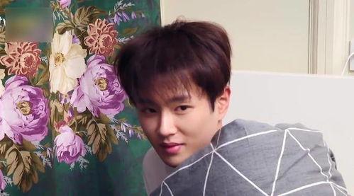 吃瓜合集娛樂圈范丞丞,娛樂圈吃瓜合集，揭秘明星背后的故事