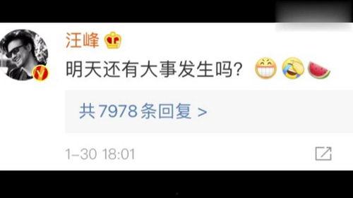 娛樂吃瓜圈小程序,跟隨“娛樂吃瓜圈”小程序，暢游八卦海洋