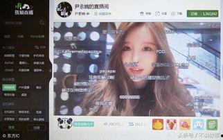 娛樂(lè)吃瓜最新事件直播回放,揭秘幕后真相，吃瓜群眾齊圍觀