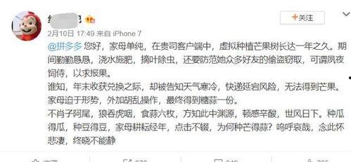 娛樂(lè)吃瓜醬文言文,古風(fēng)趣味談