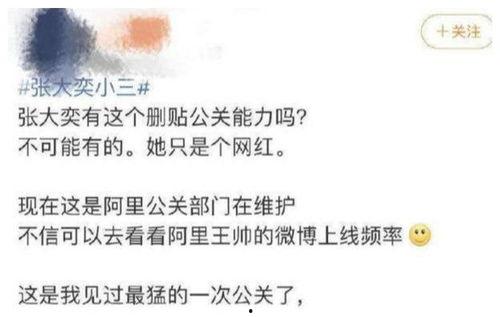 娛樂吃瓜老婆全文閱讀,娛樂圈的甜蜜復(fù)仇記