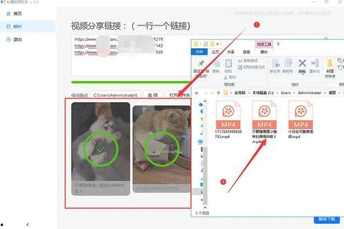 吃瓜娛樂素材視頻無水印