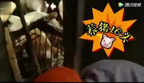 娛樂吃瓜醬變老特效,娛樂吃瓜醬變老特效，見證時光流轉(zhuǎn)的魔力