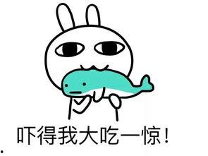 娛樂吃瓜醬果然真誠,揭秘娛樂圈真誠背后的故事